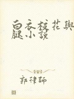 白衣校花与大长腿小说