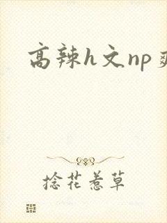 高辣h文np爽