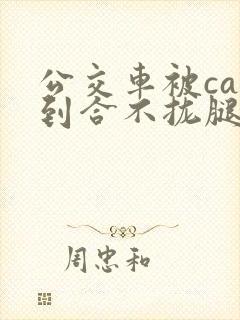 公交车被cao到合不拢腿视频