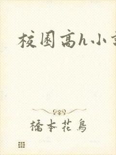 校园高h小说封面
