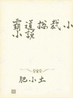 霸道总裁小娇妻小说