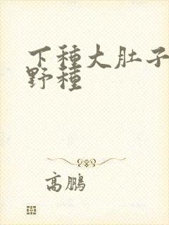 下种大肚子怀孕野种