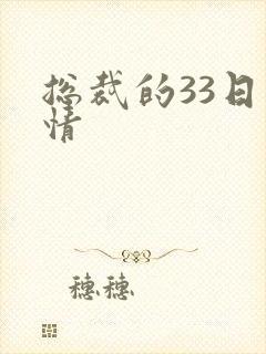 总裁的33日索情