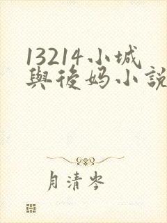 13214小城与后妈小说封面