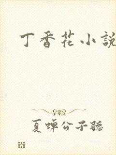 丁香花小说