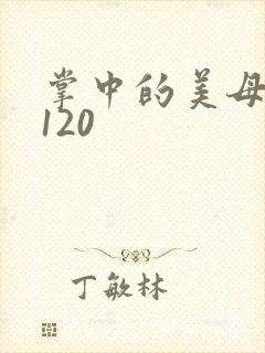 掌中的美母版主120封面