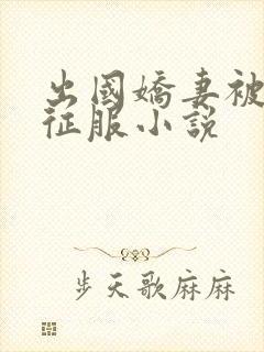 出国娇妻被黑人征服小说封面