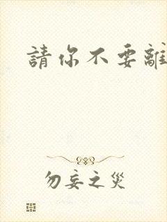 请你不要离开我