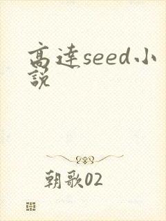 高达seed小说