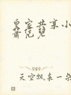 皇家共享小公主萧凭儿