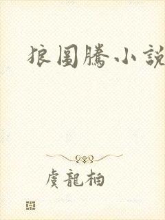 狼图腾小说封面