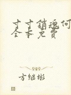 寸寸销魂何生祥全本免费