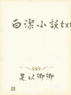 白洁小说txt