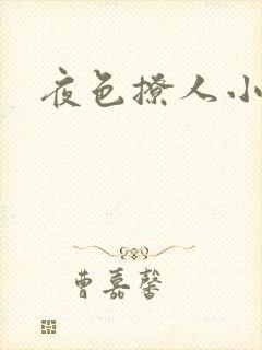 夜色撩人小说