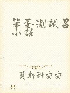 笨蛋测试召唤兽小说