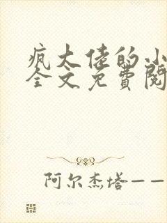 疯大佬的小玩物全文免费阅读小说封面