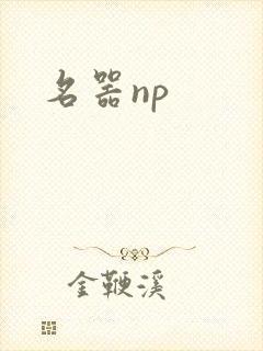 名器np封面