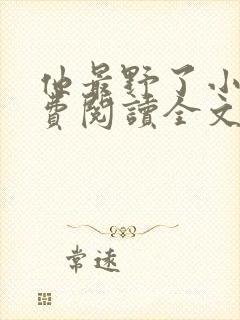 他最野了小说免费阅读全文