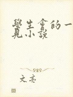 学生会的一己之见小说