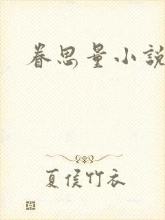 眷思量小说封面