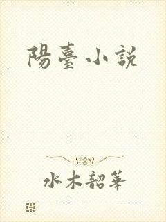 阳台小说封面