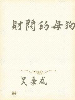 财阀的母狗们