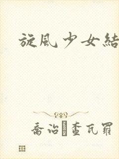 旋风少女结局封面