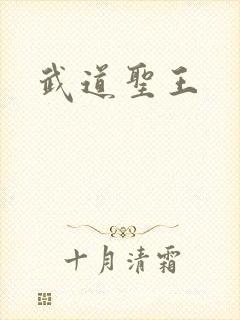 武道圣王封面