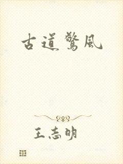 古道惊风封面