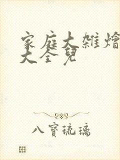 家庭大杂烩小说大全儿