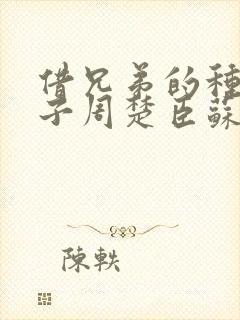 借兄弟的种生孩子周楚臣苏糖