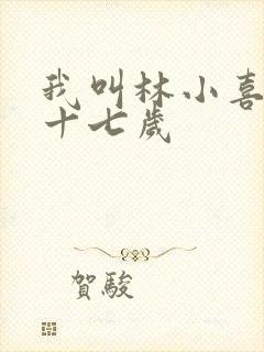 我叫林小喜今年十七岁封面