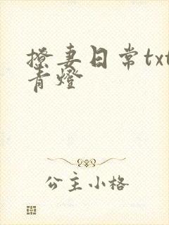 撩妻日常txt青灯