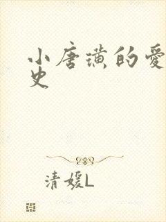 小唐璜的爱情历史封面