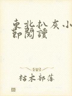 东北扒灰小说分节阅读