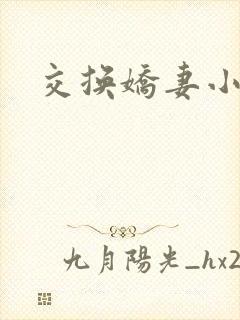 交换娇妻小说