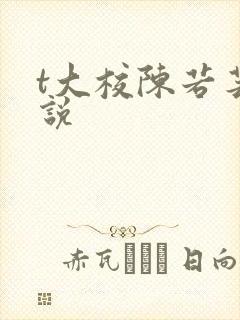 t大校陈若芸小说