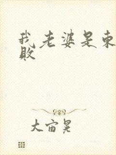 我老婆是东方不败封面