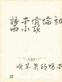 诱子偷伦初尝云雨小说