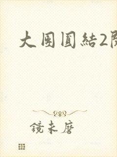 大团圆结2阅读封面