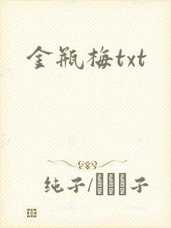 金瓶梅txt