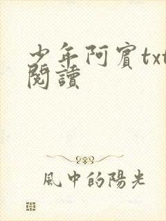少年阿宾txt阅读
