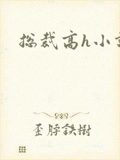 总裁高h小说封面