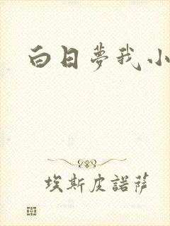 白日梦我小说