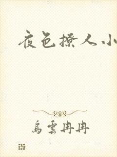 夜色撩人小说