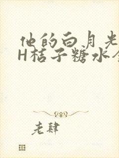 他的白月光HVH桔子糖水全文