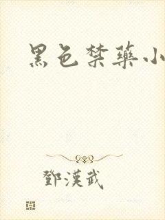 黑色禁药小说封面