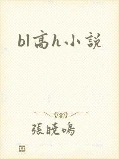 bl高h小说