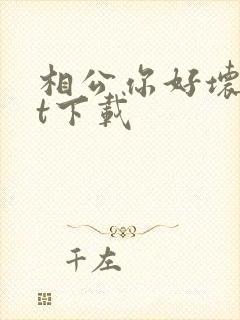 相公你好坏txt下载
