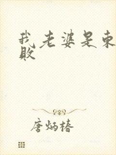 我老婆是东方不败